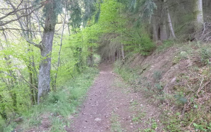 Rando des Badrais - St Didier Sous Riverie - 24 avril 2016